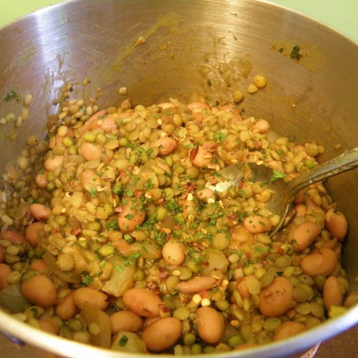 Delicious moong bean lentil pinto curry