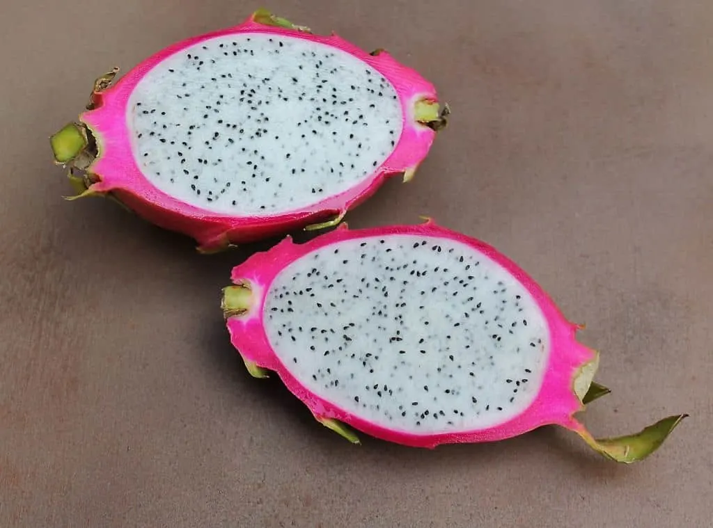 dragon fruit