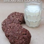Easy double chocolate hemp cookies