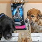 Easy DIY Sweet Potato Peanut Butter Dog Treats (3 Ingredients!)