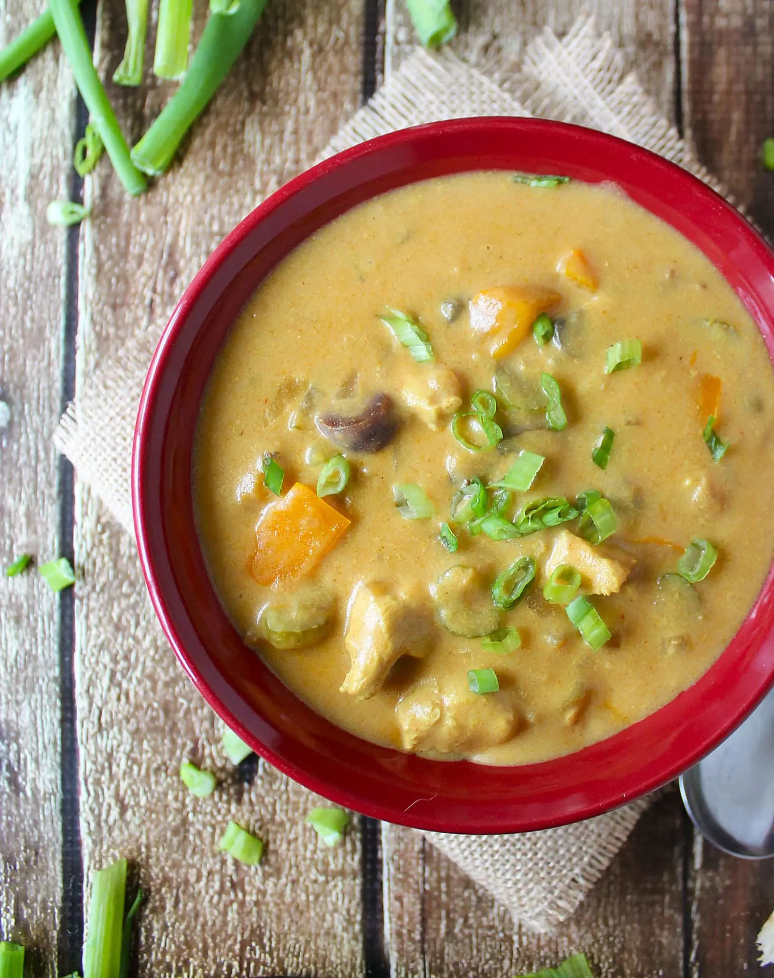 Creamy Chicken & Vegetable Soup