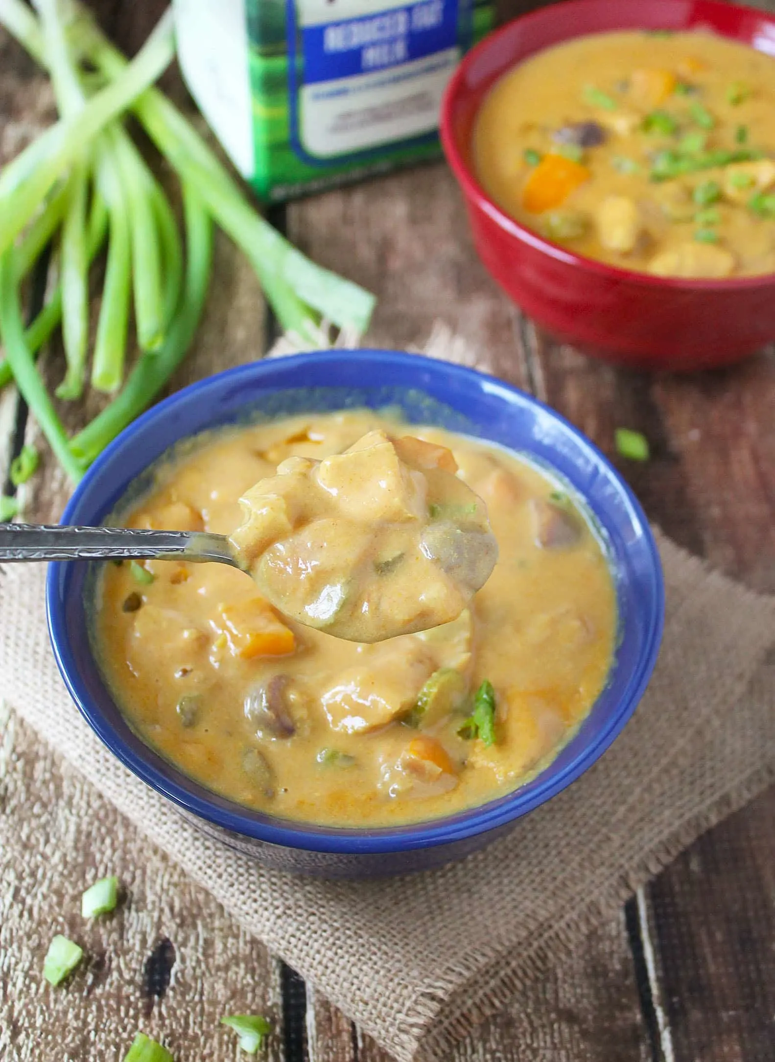 Creamy Chicken & Vegetable Soup