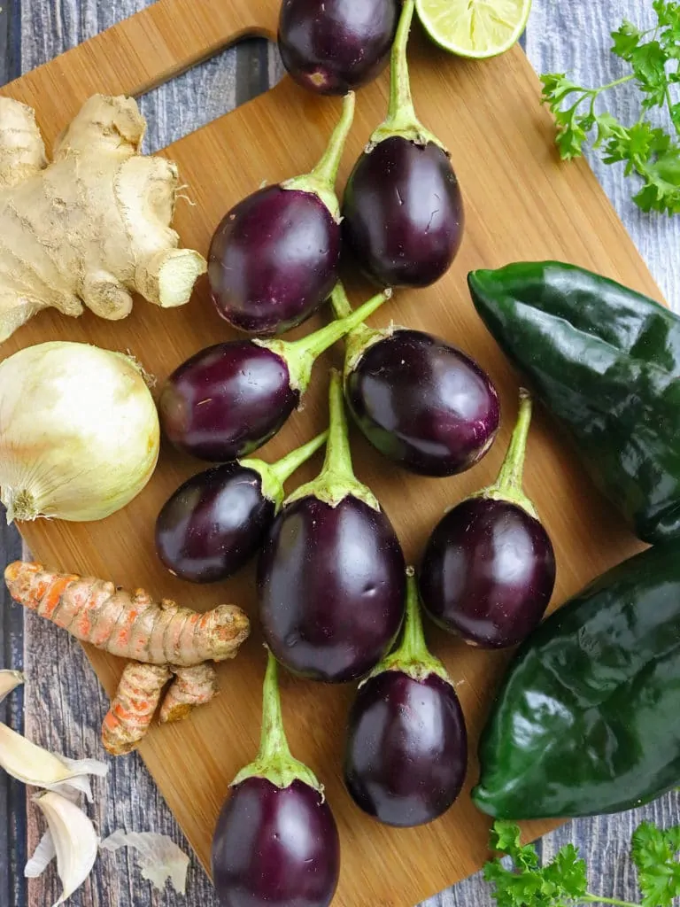 Indian eggplant