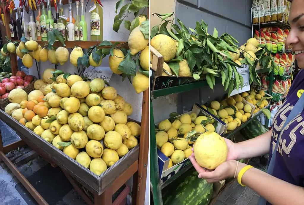 St. Teresa lemons aka Sorrento Lemons