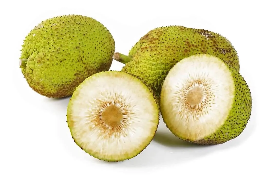 What is Breadfruit