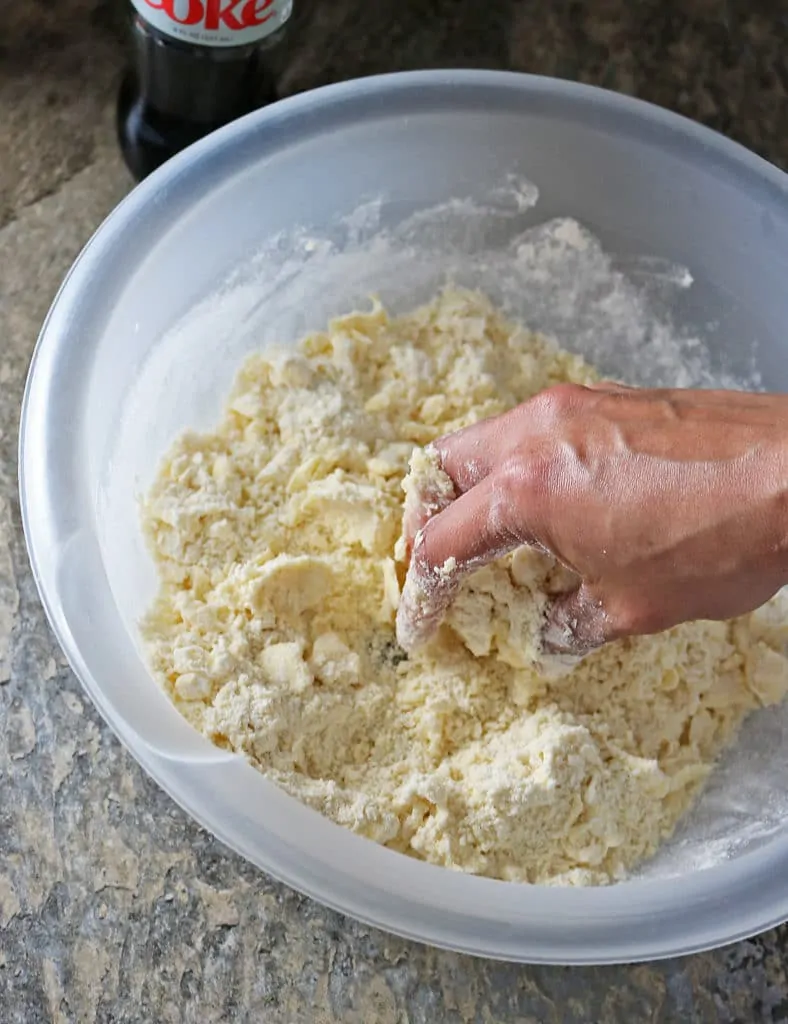 Mincemeat Pie Crust