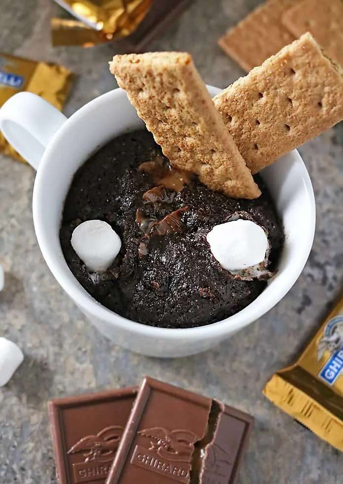 Photo of Caramel Chocolate S'mores Mug Cake