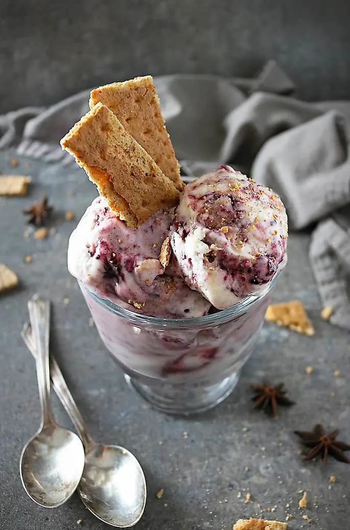 Delicious Dairy Free Marionberry Ice Cream Photo