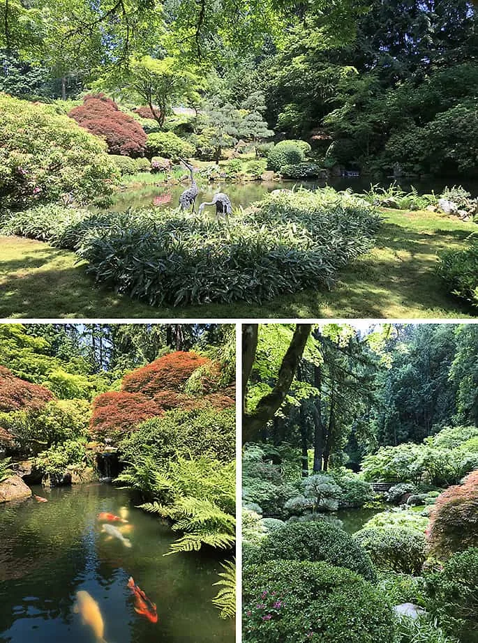 Portland Japanese Garden Photo