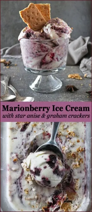 Photo of Marionberry Ice Cream with Star Anise & Graham Crackers