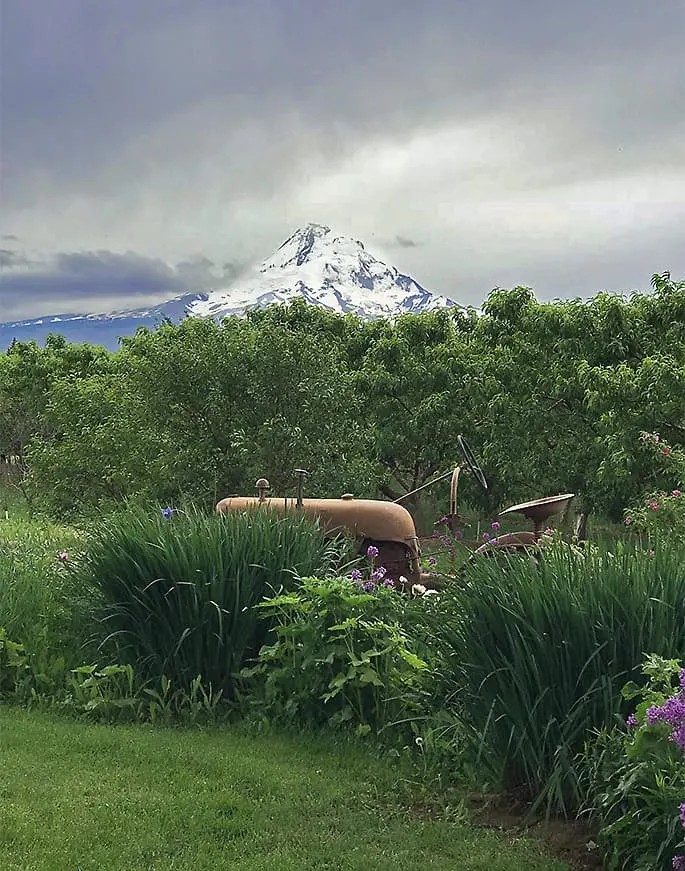 Mt Hood Oregon Photo