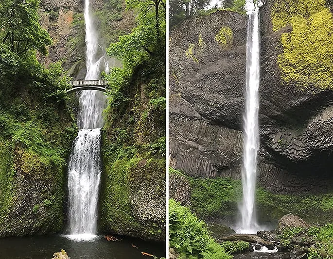 Multnomah Falls & Latourell Falls Photo