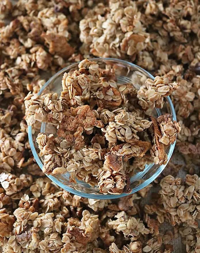 Easy Chunky Delicious Apple Walnut Granola Photo