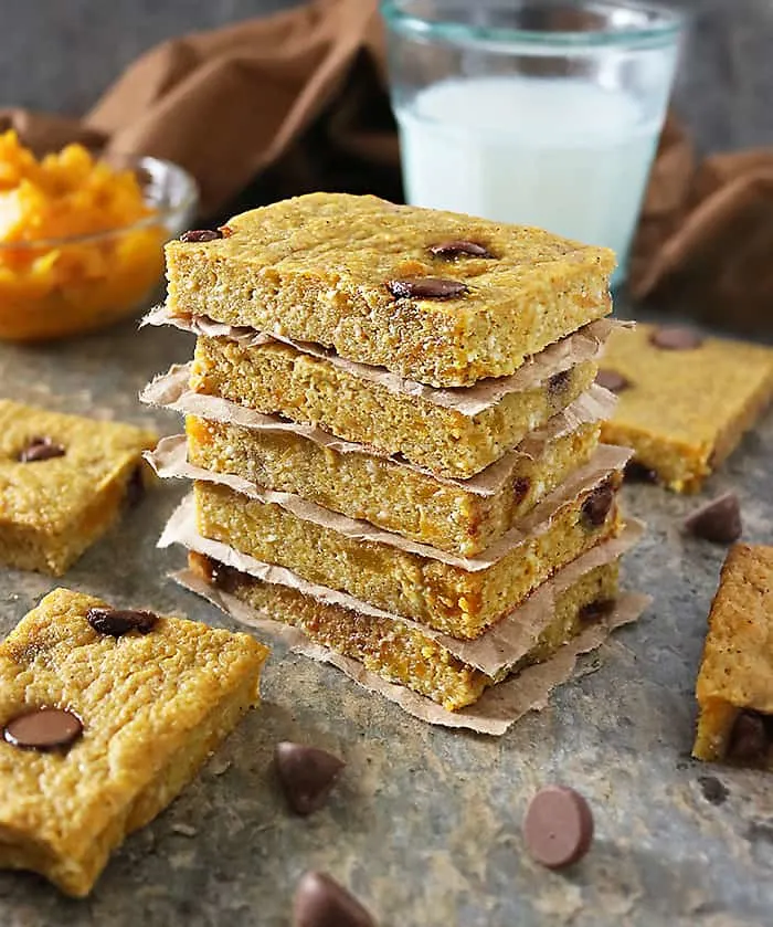 Gluten Free Squash Chocolate Chip Bars Photo