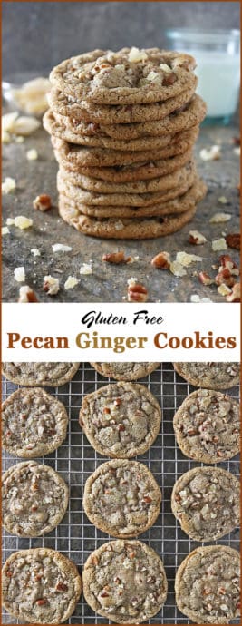 #ad Gluten Free Pecan Ginger Cookies Prepped with FoodSaver® FM5330 Vacuum Sealing System And FoodSaver® 6 pk Heat Seal Rolls #PrepNowSavorLater #StockPrepWin Image