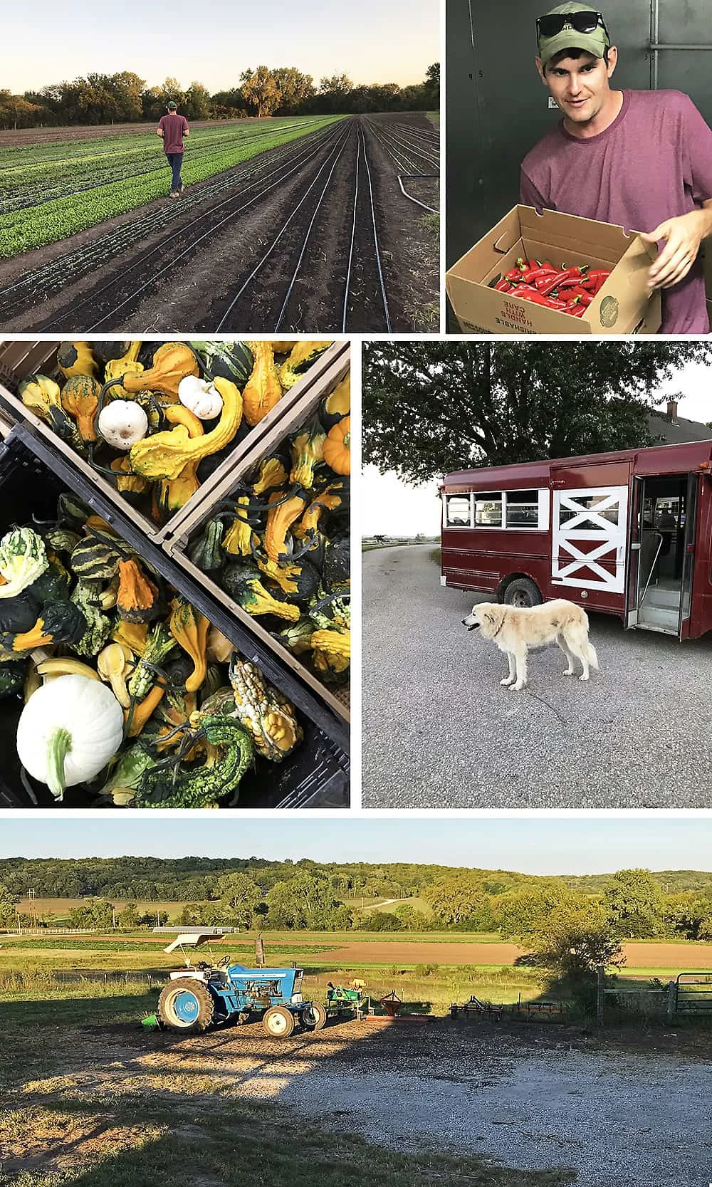 Photo of dinner at Juniper Hills Farms