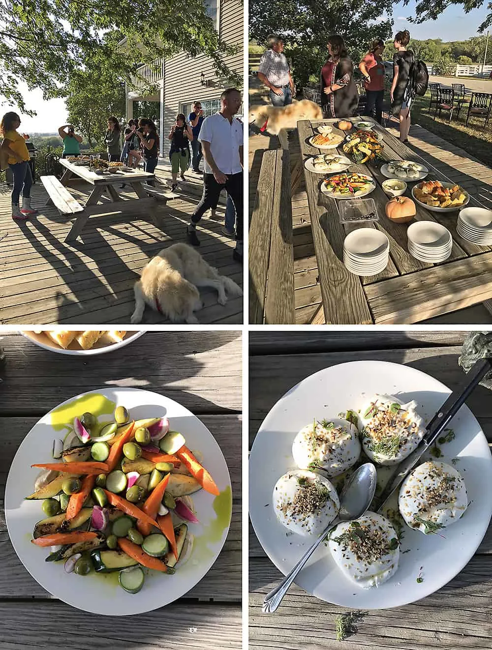 Photo of appetizers at Juniper Hill Farms