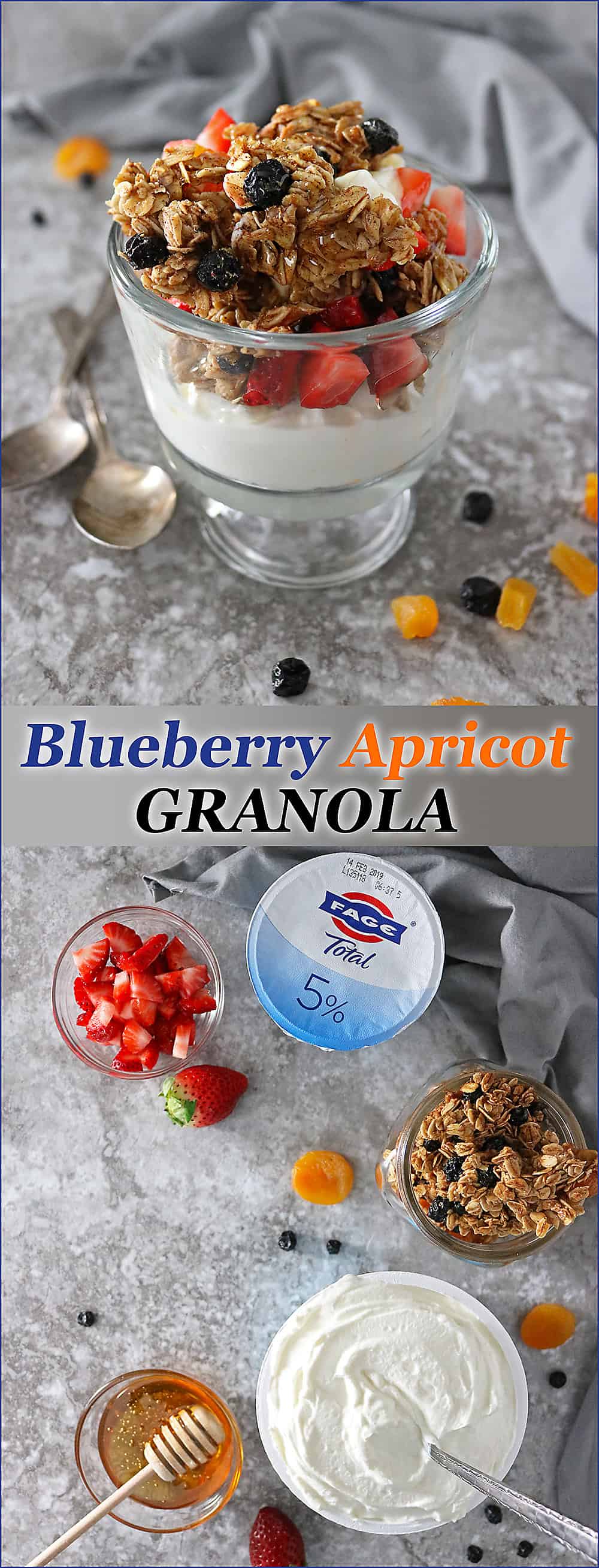 Blueberry Apricot Granola