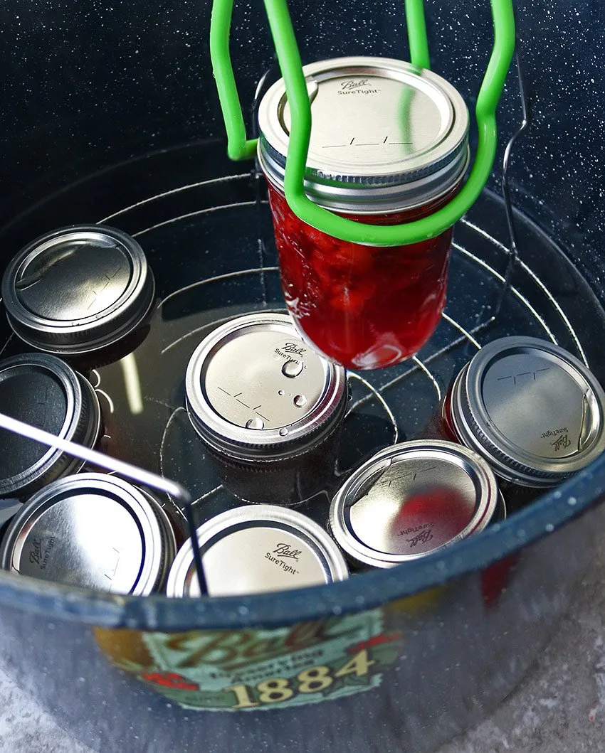 Canning Strawberry Lemonade Marmalade.