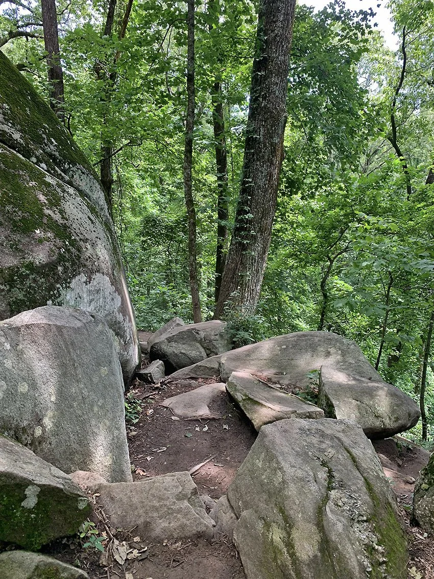 Climbing Mt Yonah