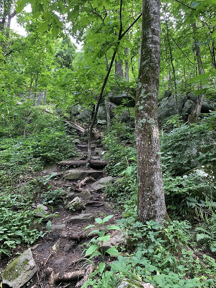 GA Trails Mt Yonah