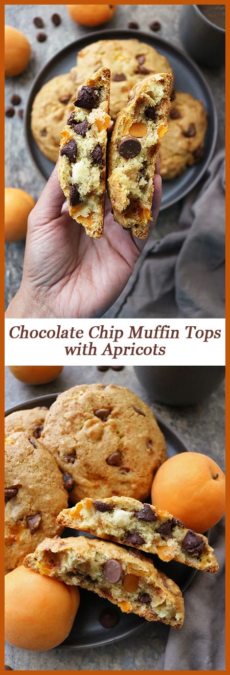 Chocolate Chip Muffin Tops with Apricot Image