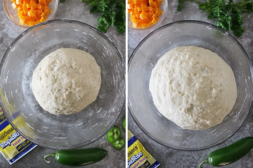 Unrisen and Risen Dough For Parker House Rolls With Cheddar Jalapenos