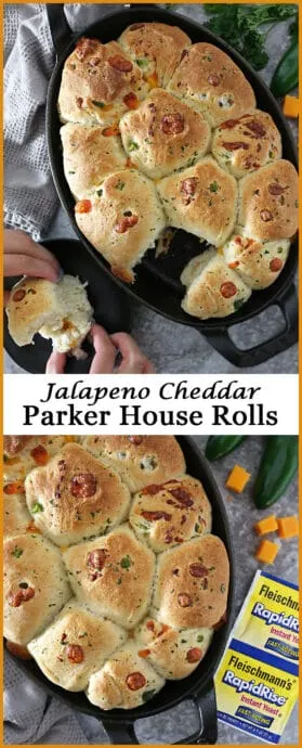 Easy Tasty Quick Jalapeno Cheddar Parker House Rolls
