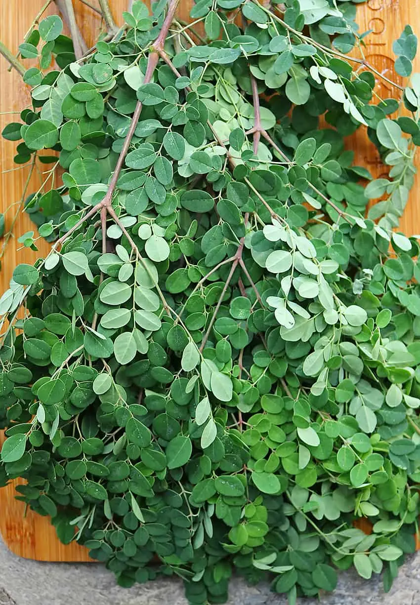 Moringa Leaves freshly washed and on cutting board.