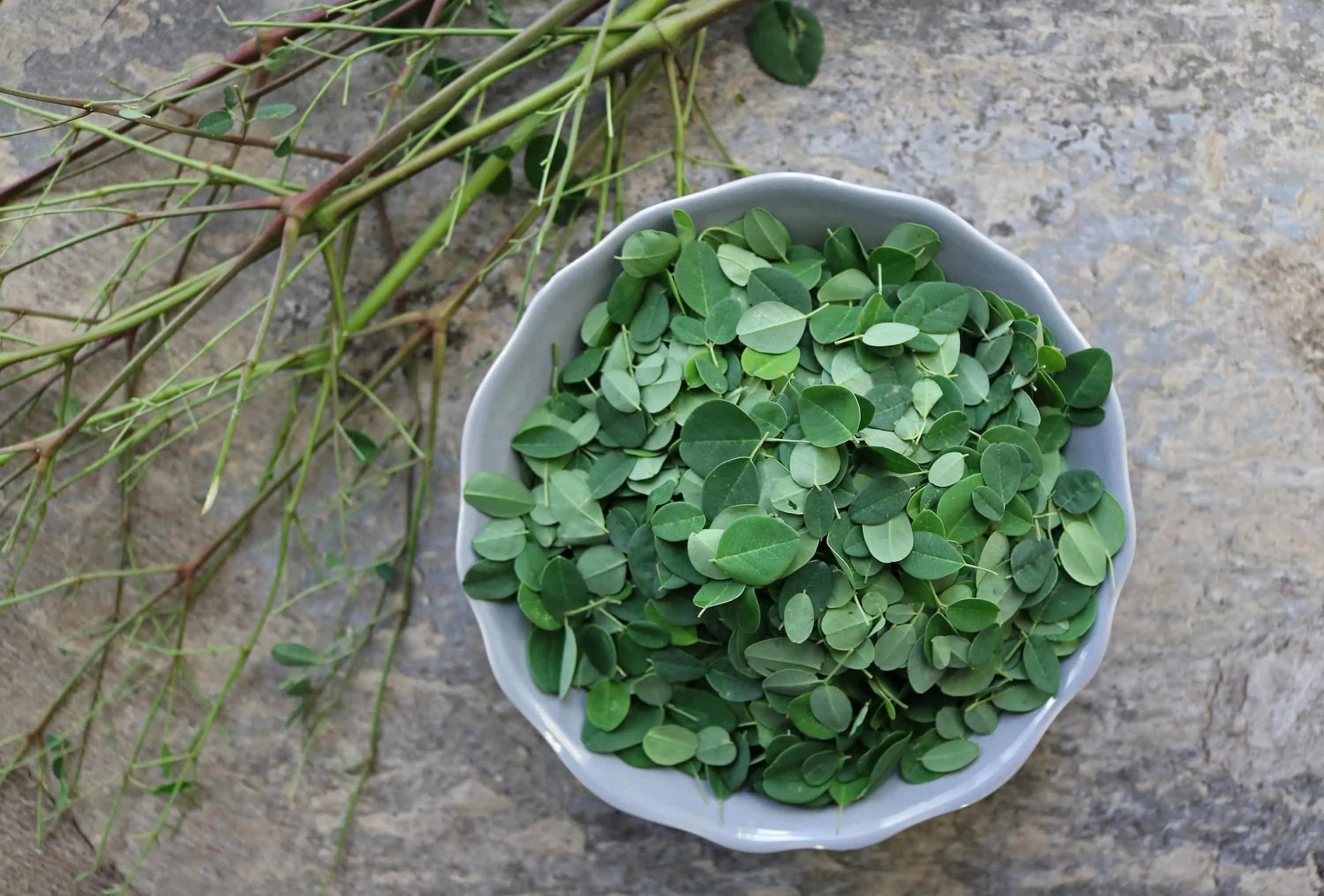 Using Fresh Moringa Leaves by placing the leaves in a bowl and discarding the stems.