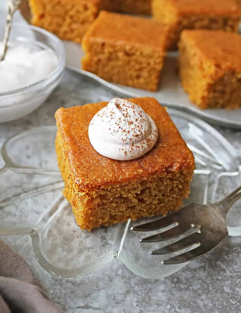 Enjoying a Slice of gluten free pumpkin spice cake