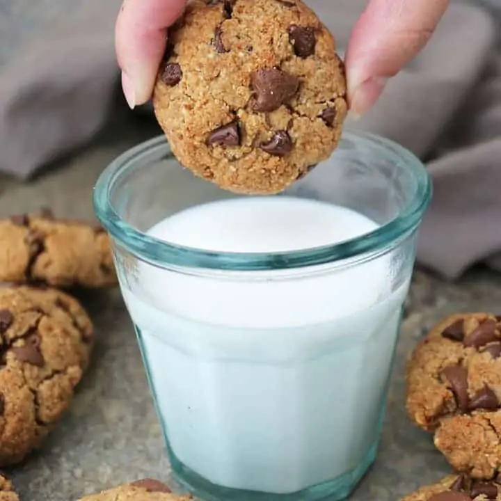 tasty egg free almond chocolate chip cookies