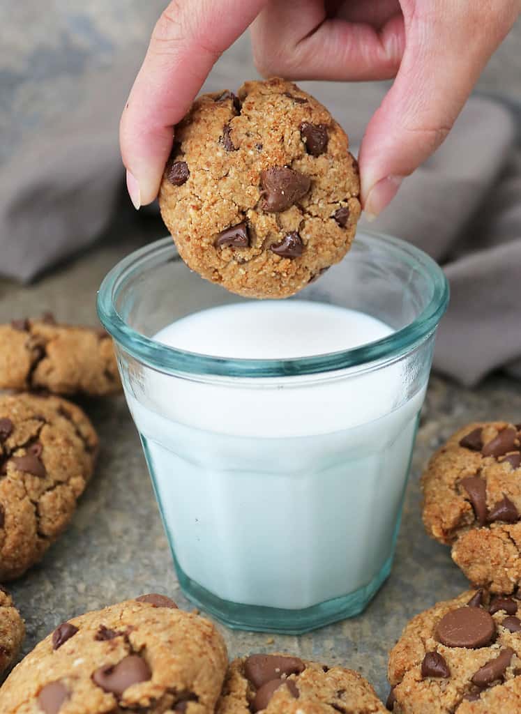 tasty egg free almond chocolate chip cookies