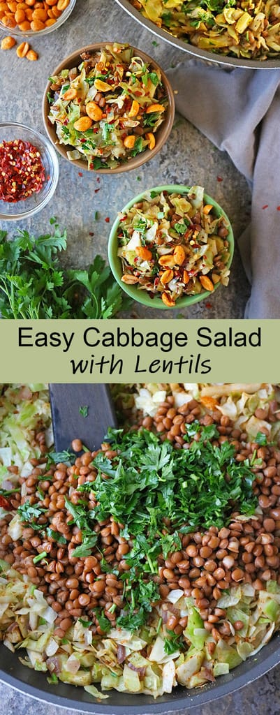 Easy Cabbage Salad With Lentils Recipe Savory Spin