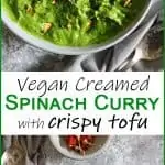 Spinach Curry Sauce with Crispy Tofu