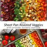 This easy sheet pan roasted veggies recipe includes a rainbow of veggies that are slathered with a delicious coriander-turmeric marinade.