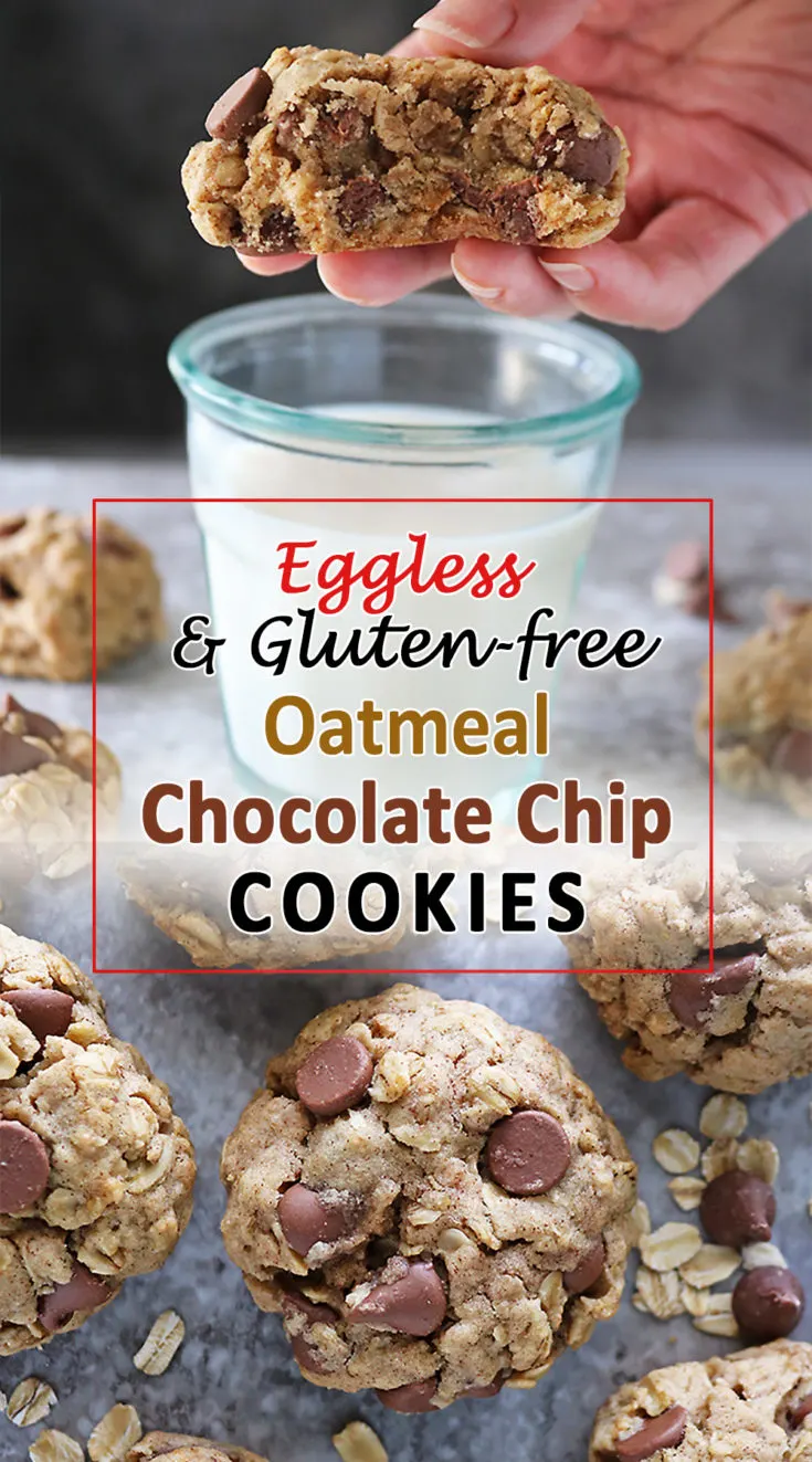 Eggless Oatmeal Chocolate Chip Cookies - Mind Over Munch