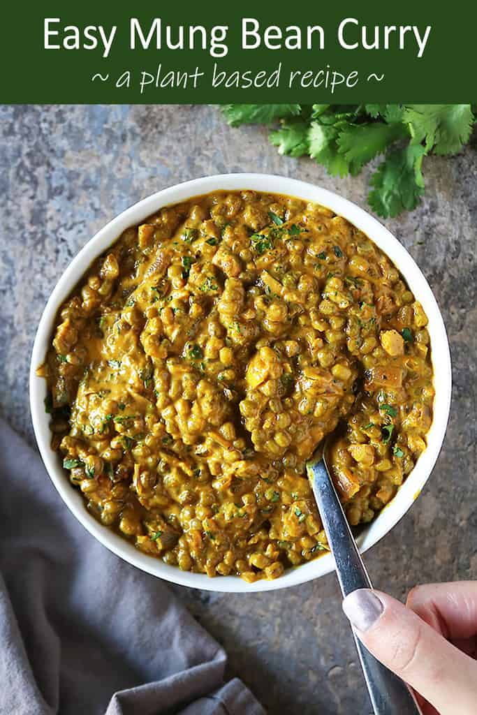 Easy Mung Bean Curry ( A Vegan Recipe by Savory Spin)