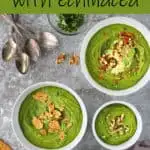 Pin for Easy Kale Soup with Echinacea