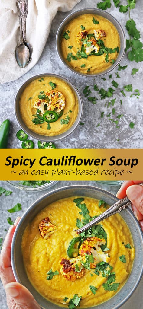 Spicy Cauliflower Soup - Savory Spin