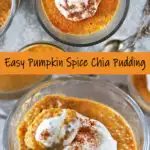 Pumpkin Spice Chia Pudding