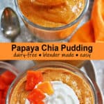 This blended, dairy-free Papaya Chia Pudding is made with just a few ingredients such as almond milk, papaya, chia seeds, a splash of almond extract, and a pinch of cinnamon and cardamom. It is perfect for a grab-and-go breakfast, snack, or dessert.