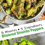 3-Ingredient Blistered Shishito Peppers