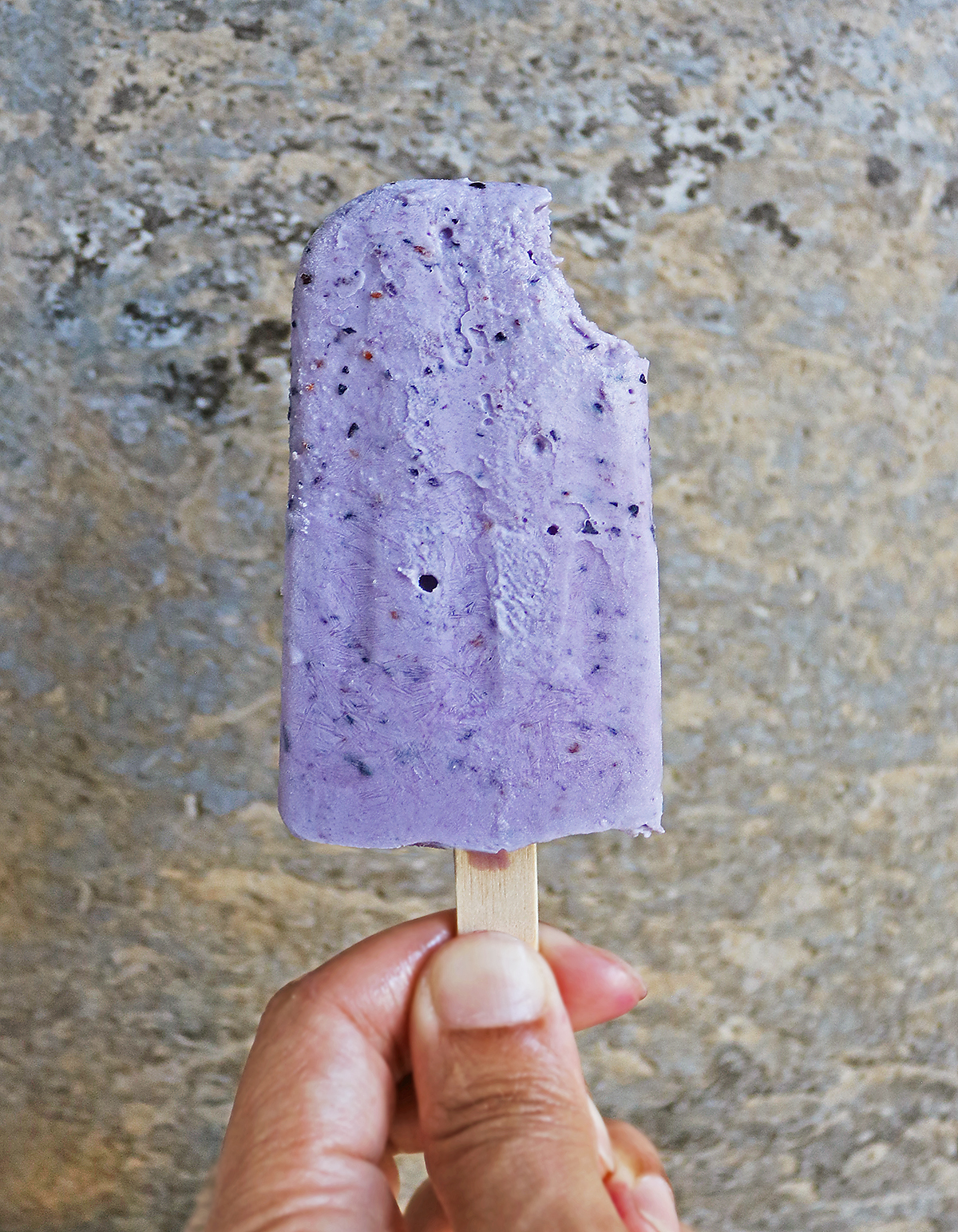 Easy No Churn Dairy free blueberry lemon popsicles