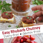Easy Rhubarb Chutney Recipe