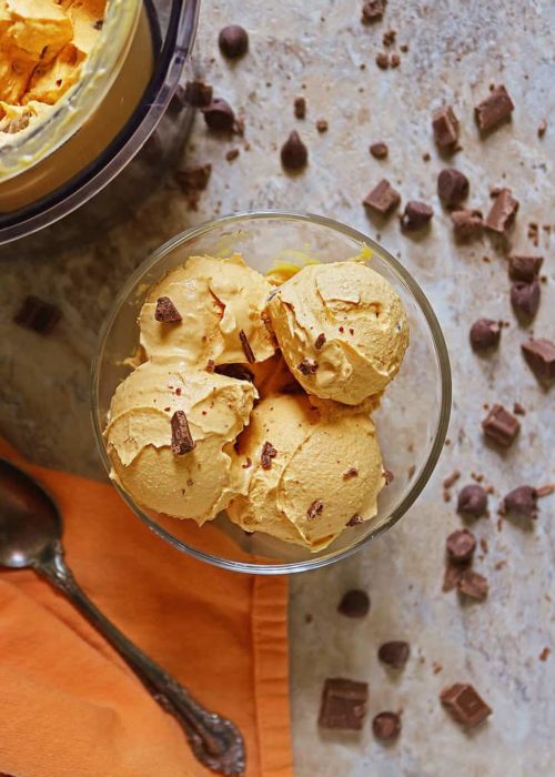 Dairy Free Ninja Creami Pumpkin Ice Cream