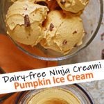 Dairy Free Ninja Creami Pumpkin Ice Cream
