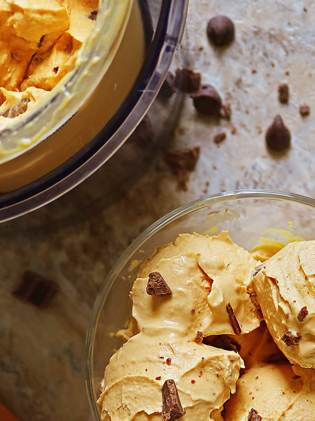 Dairy Free Ninja Creami Pumpkin Ice Cream
