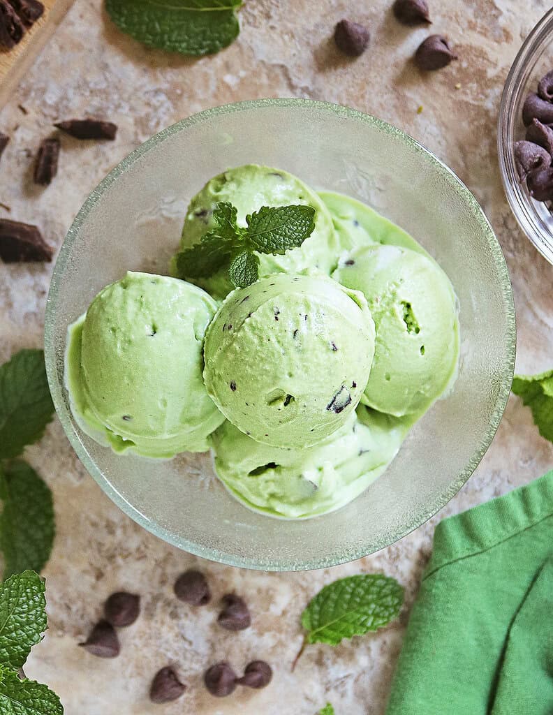 Easy Dairy-free mint chocolate chip ice cream in a bowl with mint leaves and chocolate chips surrounding it.
