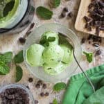 Easy delicious dairy-free ninja creami mint chocolate chip ice cream in a bowl with the creami beside it and mint leaves and chocolate chips surrounding it.